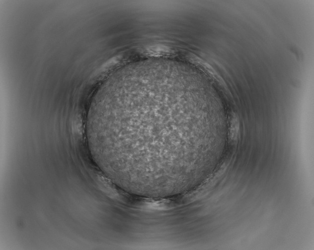 X0000115180569200911121803
