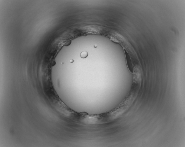 X0000115180573200911121803