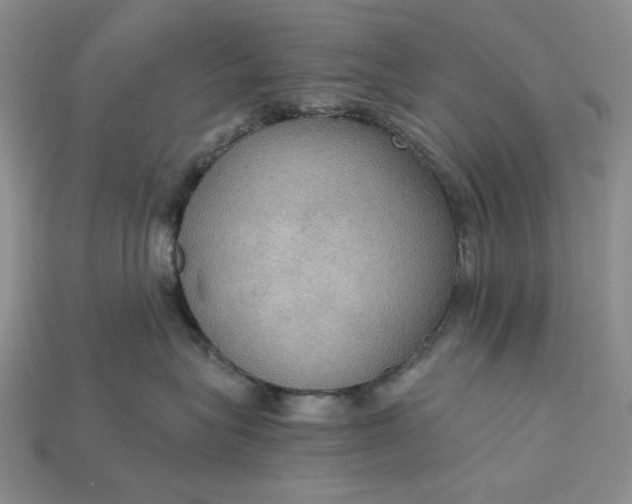 X0000115180575200911121803