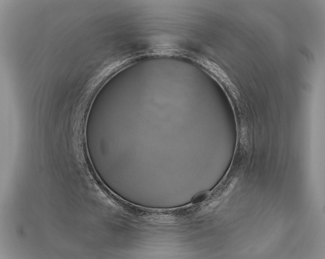 X0000115180577200911121802
