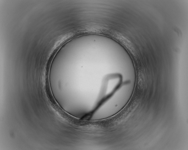 X0000115180578200911121802