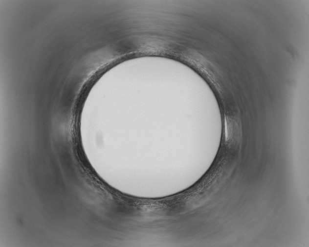 X0000115180579200911121802