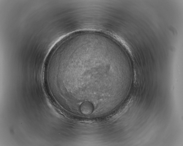 X0000115180580200911121802