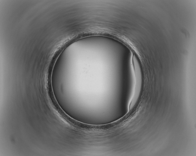 X0000115180581200911121802