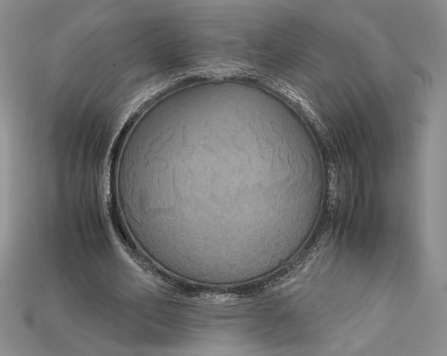 X0000115180582200911121802