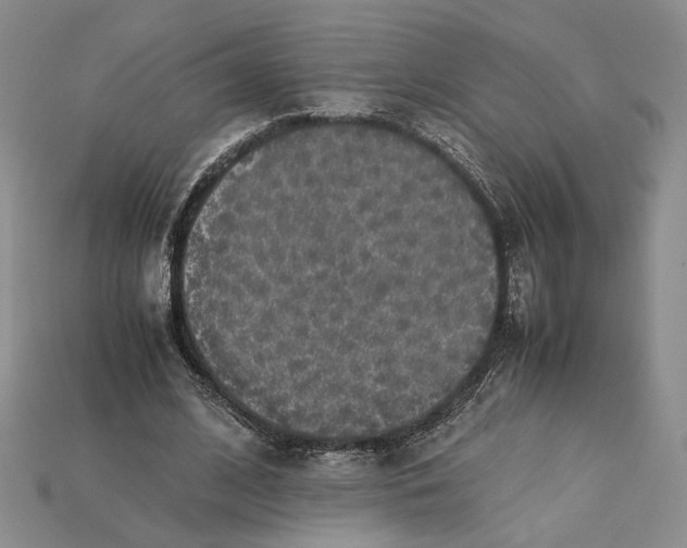 X0000115180584200911121802