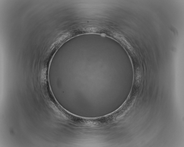 X0000115180585200911121802