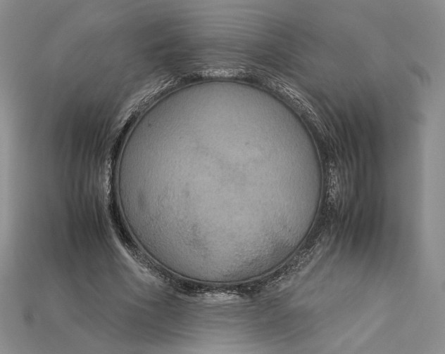 X0000115180586200911121802