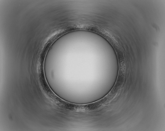 X0000115180587200911121802