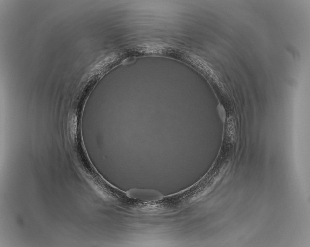 X0000115180589200911121802