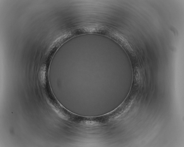 X0000115180590200911121802