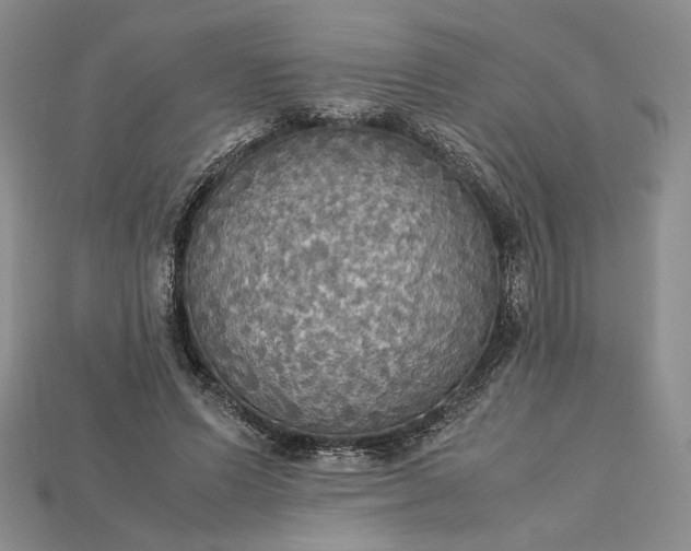 X0000115180591200911121802