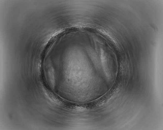 X0000115180592200911121802