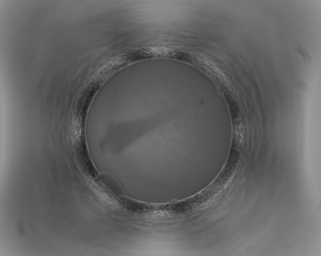 X0000115180593200911121802