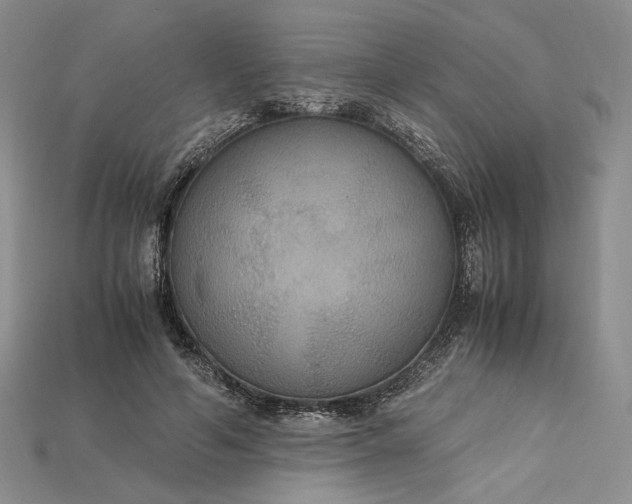X0000115180594200911121802