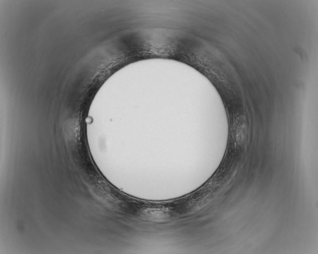 X0000115180595200911121802