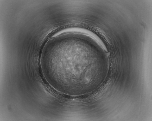 X0000115180596200911121802
