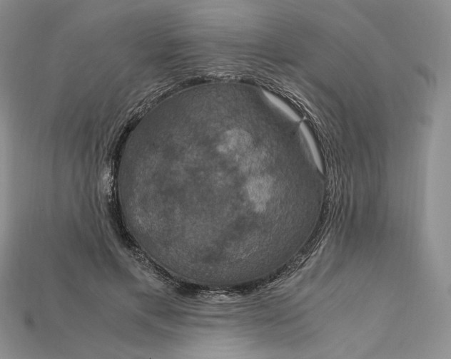 X0000115180597200911121802