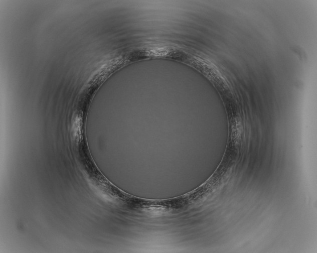 X0000115180598200911121802