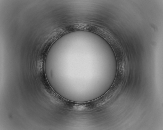 X0000115180602200911121802