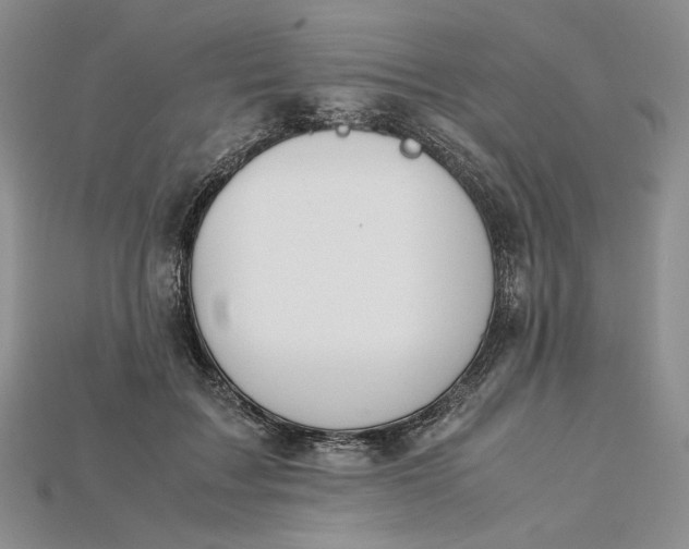 X0000115180603200911121802