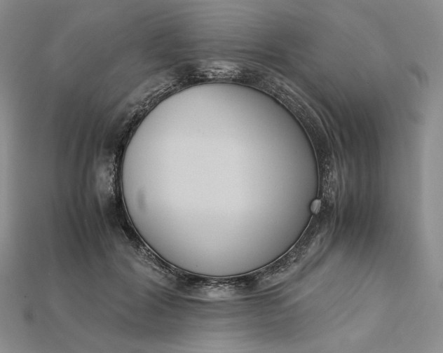 X0000115180604200911121802