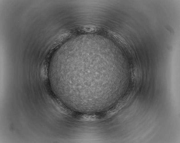 X0000115180606200911121802