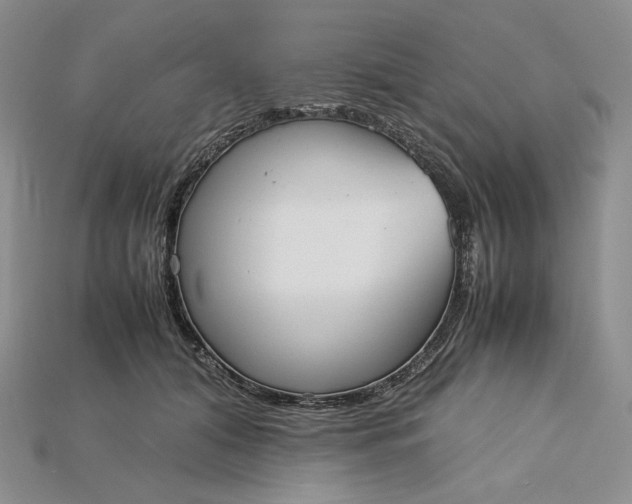 X0000115180608200911121802
