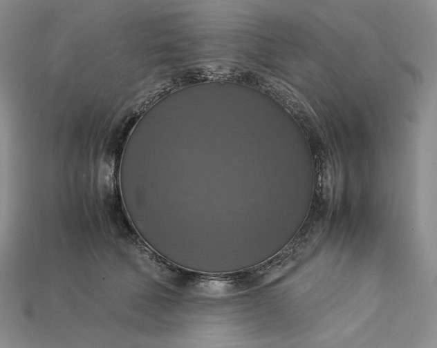 X0000115180610200911121802