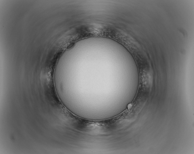 X0000115180611200911121802