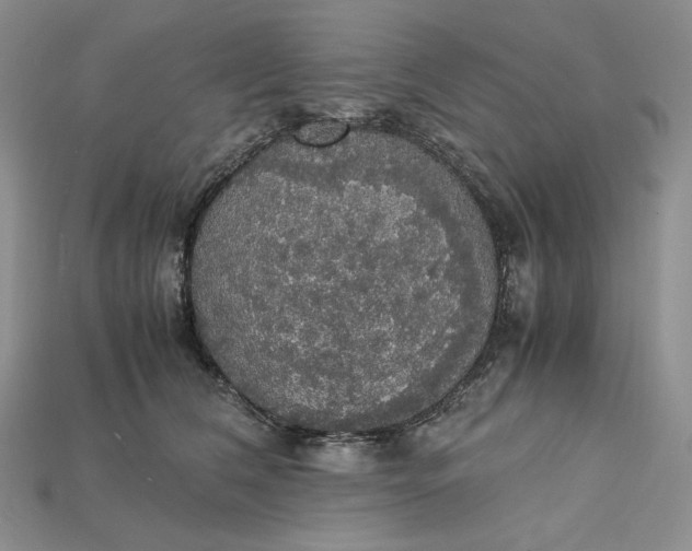 X0000115180612200911121802