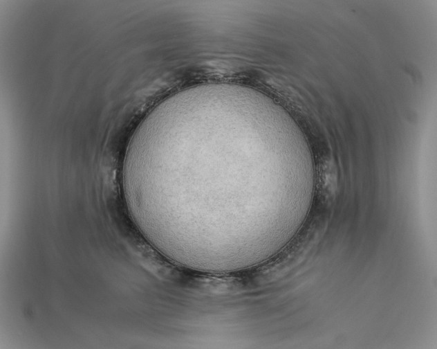 X0000115180615200911121802