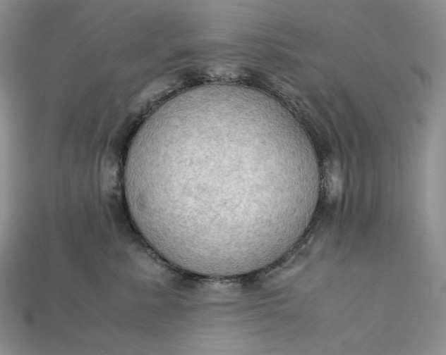 X0000115180619200911121802