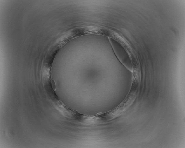 X0000115180621200911121802