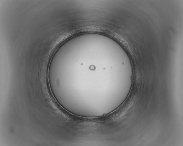 X0000115180625200911121801