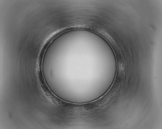 X0000115180628200911121801