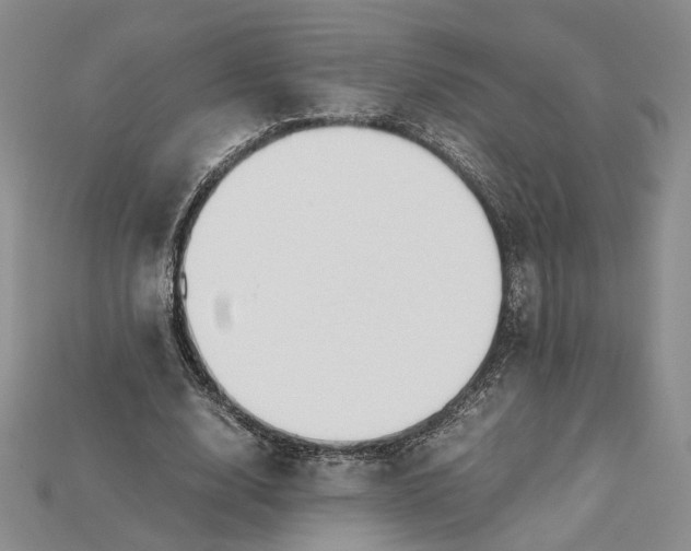 X0000115180632200911121801