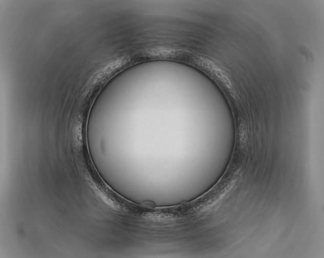 X0000115180633200911121801