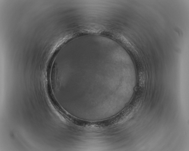 X0000115180634200911121801