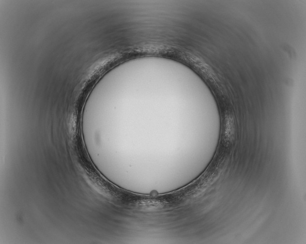 X0000115180636200911121801