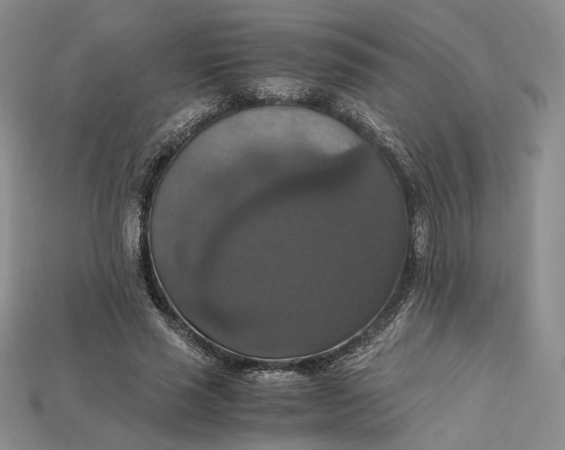 X0000115180637200911121801