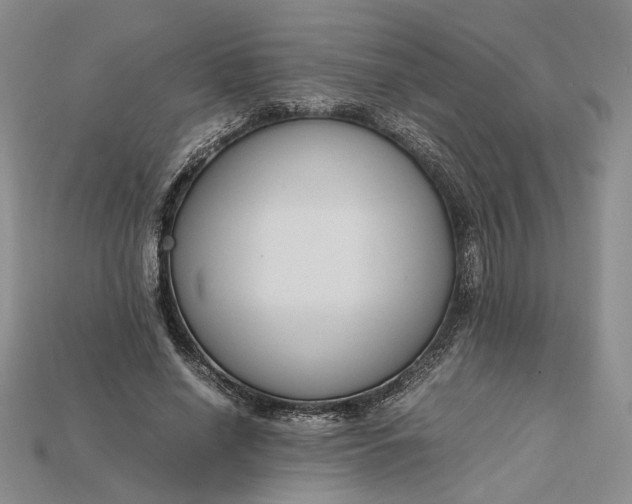 X0000115180638200911121801