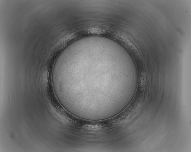 X0000115180639200911121801