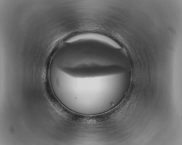 X0000115180640200911121801