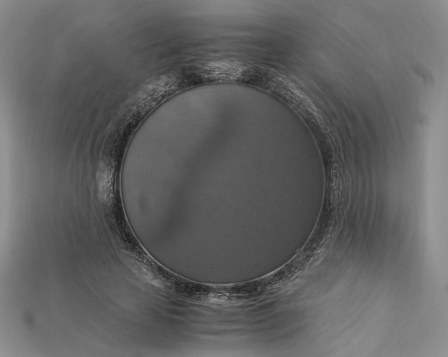 X0000115180641200911121801