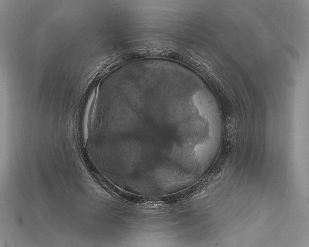 X0000115180642200911121801