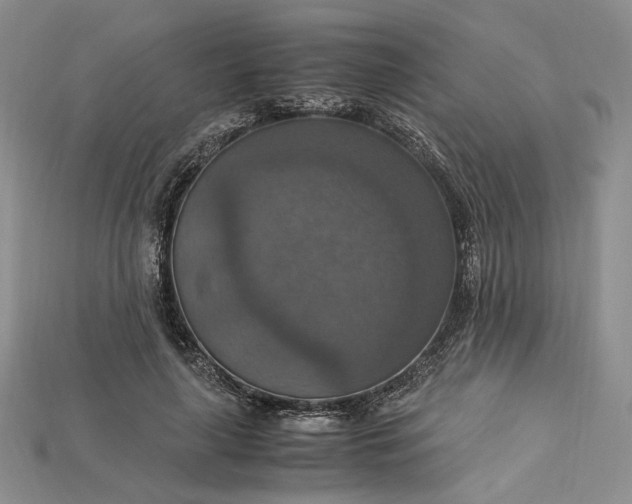 X0000115180643200911121801