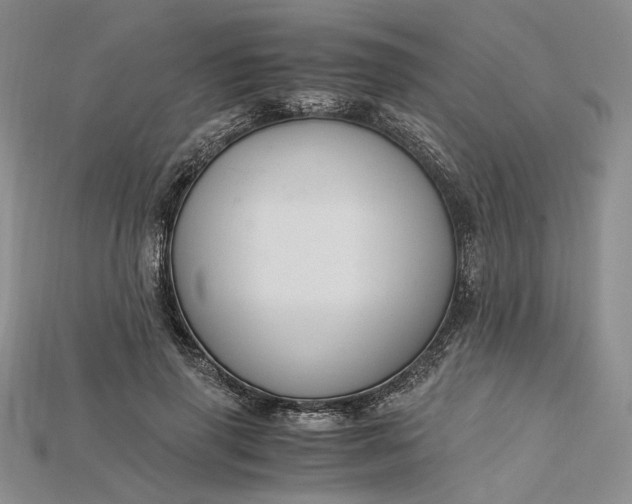 X0000115180645200911121801