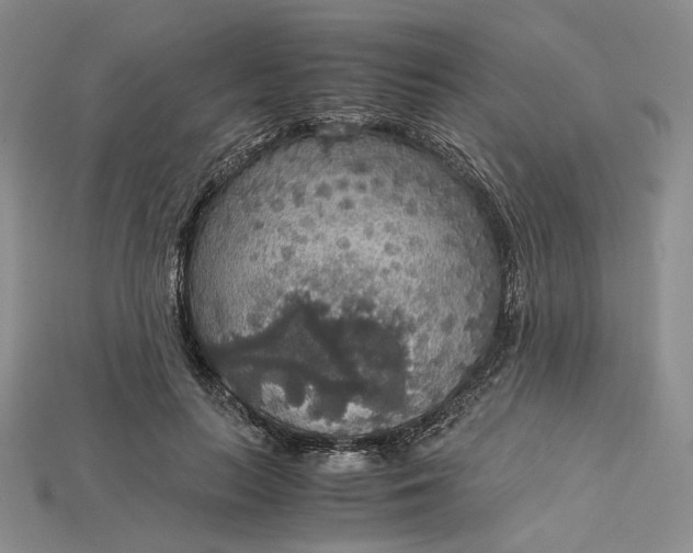 X0000115180647200911121801