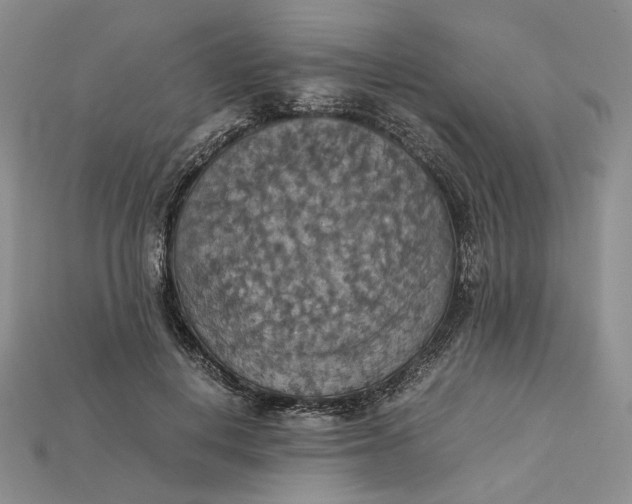 X0000115180648200911121801